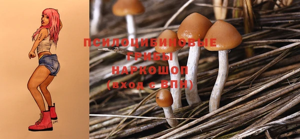 героин Абаза